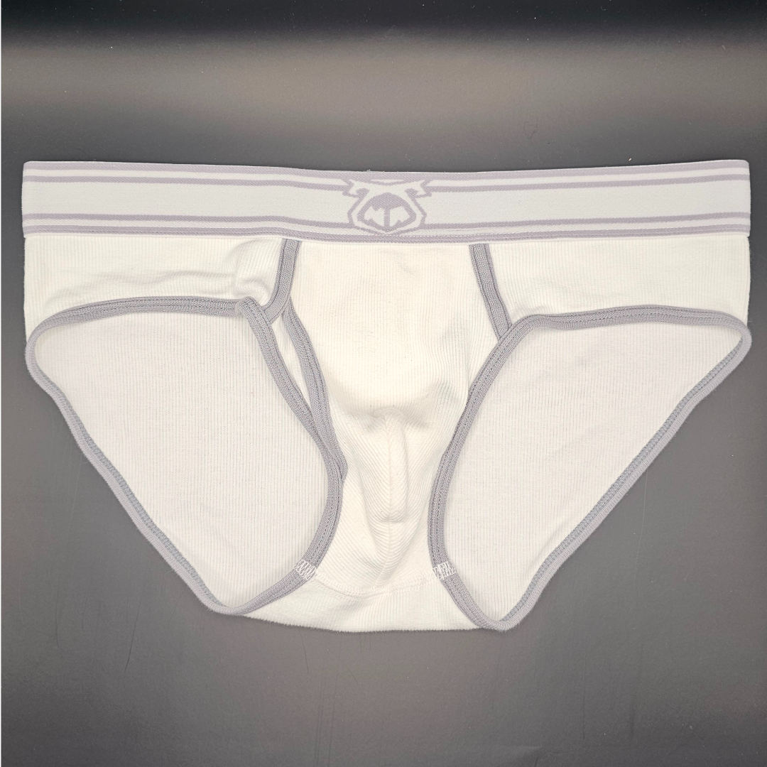 Nasty Pig Core Y-front Brief