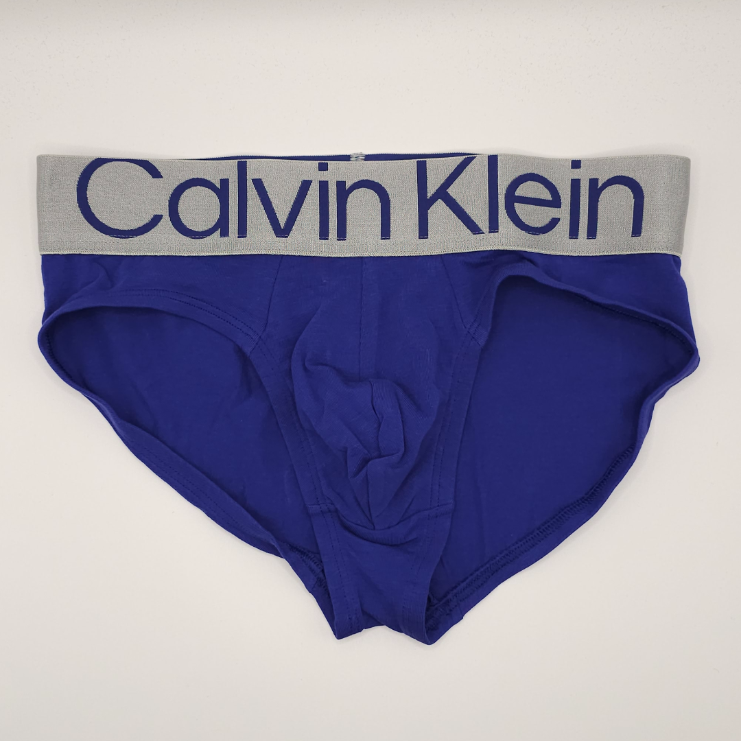 Calvin Klein Steel Micro Briefs (blue)