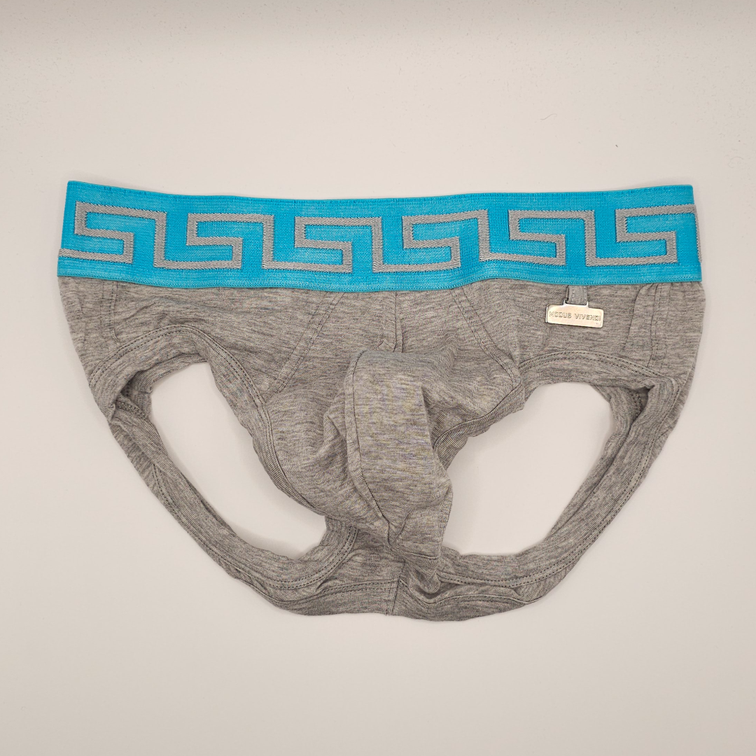 Modus Vivendi Meander Jockbriefs - Grey