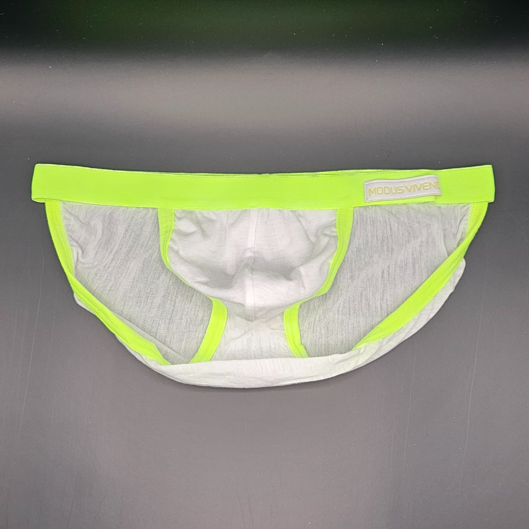 Modus Vivendi Peace Tanga Brief