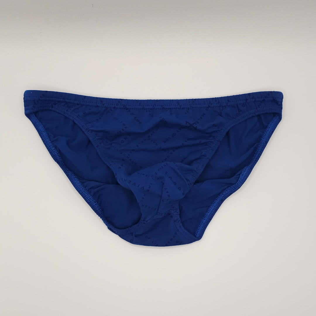 Modus Vivendi Bikini Briefs (blue)