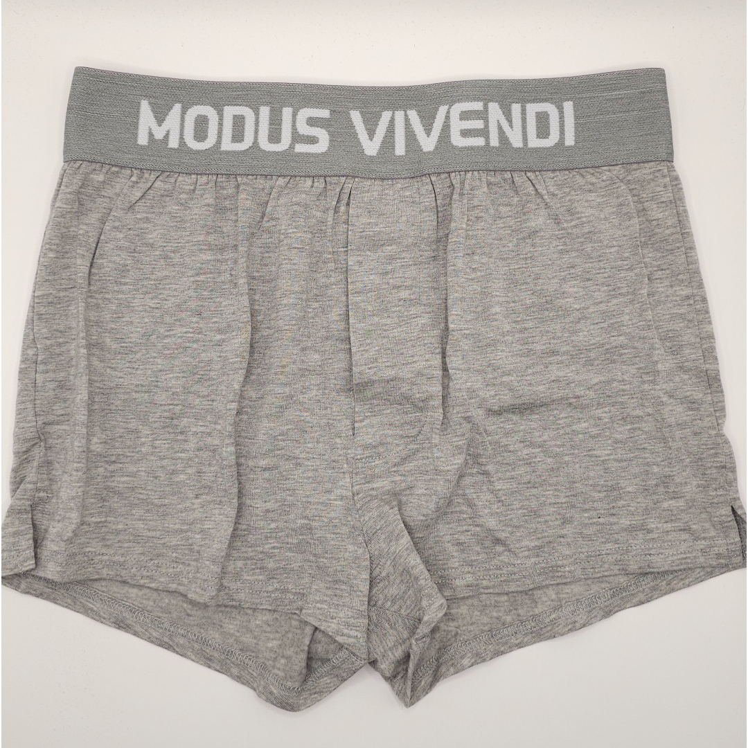 Modus Vivendi Boxershorts (grey)