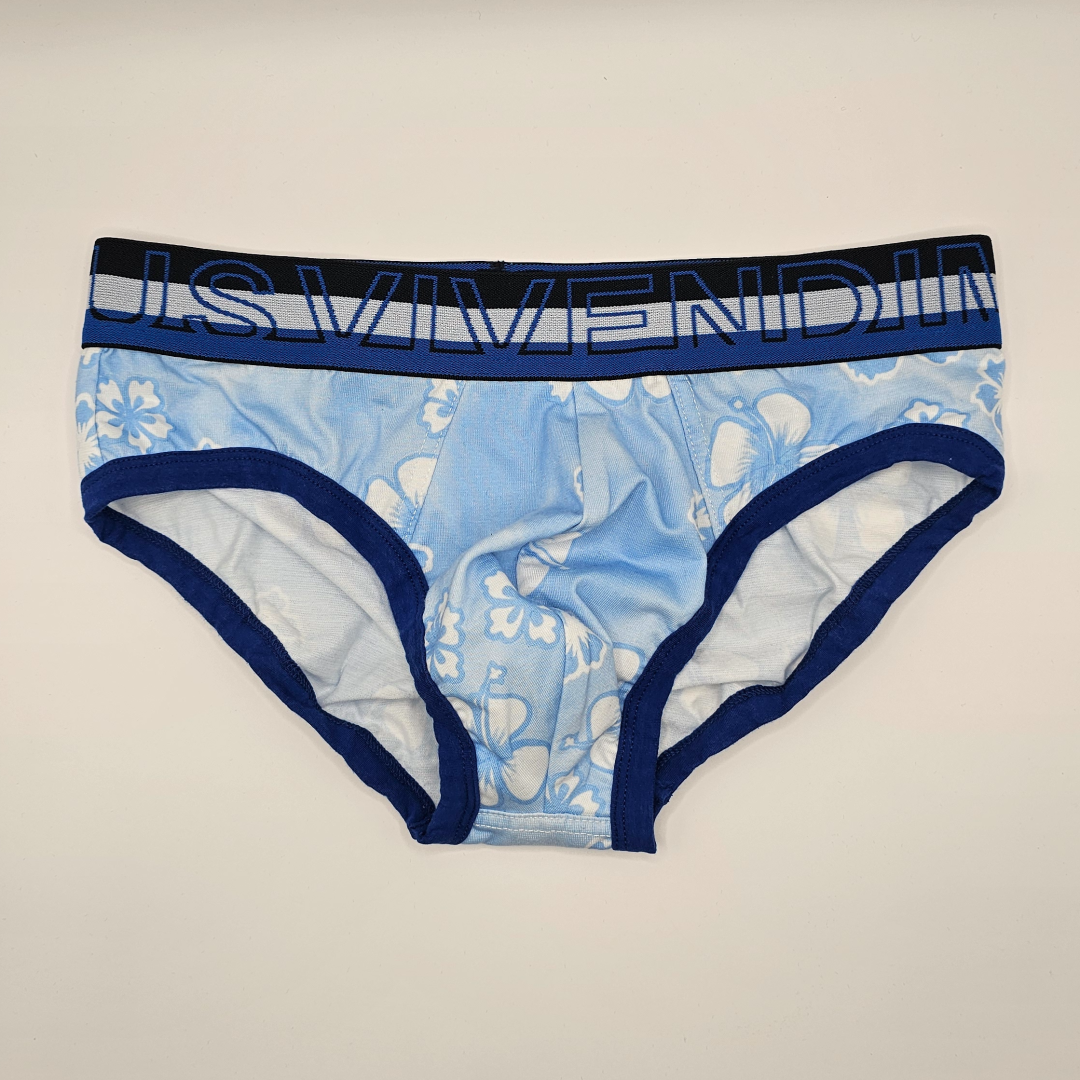 Modus Vivendi Briefs